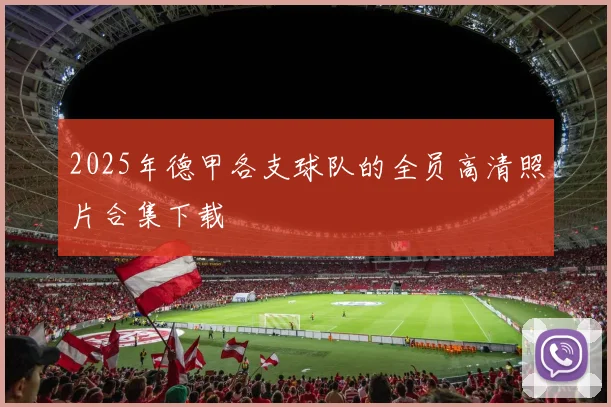 2025年德甲各支球队的全员高清照片合集下载