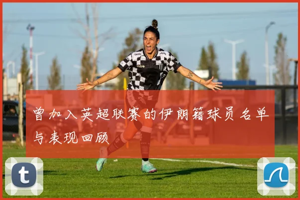 曾加入英超联赛的伊朗籍球员名单与表现回顾