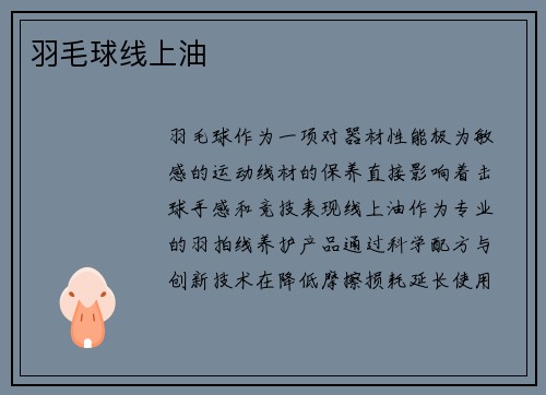 羽毛球线上油